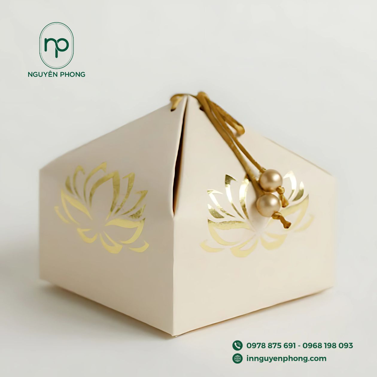 Mẫu thiết kế logo phong thủy